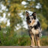 Foto van Naomi