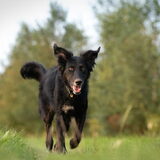 Foto van Naomi