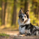 Foto van Naomi