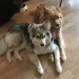 Foto van Marijke - Aila, Dinja & Evi