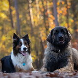 Foto van Naomi