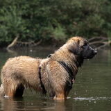 Foto van Naomi