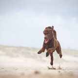 Foto van Naomi