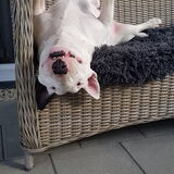 Foto van Huib