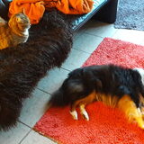 Foto van Kath