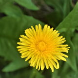 Foto van Jeanine :)