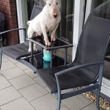Foto van Huib