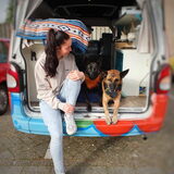 Foto van Dutchshepherdteam