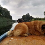 Foto van sups-cool achterhoek