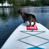 Foto van sups-cool achterhoek