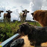Foto van sups-cool achterhoek
