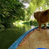 Foto van sups-cool achterhoek