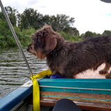 Foto van sups-cool achterhoek