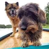 Foto van sups-cool achterhoek