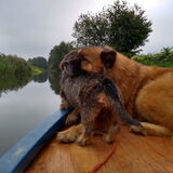 Foto van sups-cool achterhoek