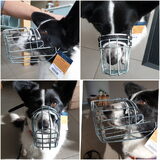 Foto van Bush dog