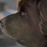 Foto van Jeanine :)
