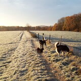 Foto van Annelies met  Sem