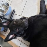 Foto van Tiamo  ^_^  Dyuna