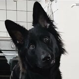 Foto van Tiamo  ^_^  Dyuna