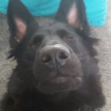 Foto van Tiamo  ^_^  Dyuna