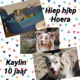 Foto van Danielle, Kyra*Kaylin*, Djaira en Djaidey