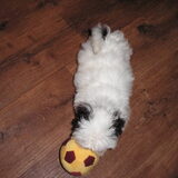 Angel speelt met een bal(9 weken)