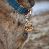 Foto van Dutchshepherdteam