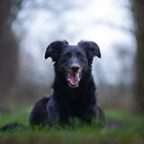 Foto van Naomi