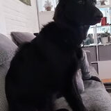 Foto van Tiamo  ^_^  Dyuna