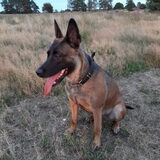 Foto van Miranneke