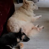 Kiya en Aisyah
