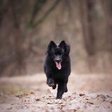 Foto van Angelique, Kleine Maybe en Tess <3