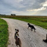 Foto van Hannah & Bink† en Beertje