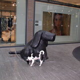 Foto van Lilly