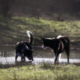 Foto van Angelique, Kleine Maybe en Tess <3