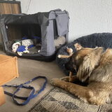 Foto van Britt, Maui & Fanu ~