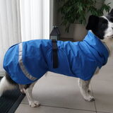 Foto van Bush dog