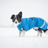 Foto van Bush dog