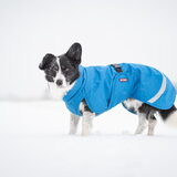 Foto van Bush dog
