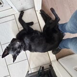 Foto van Tiamo  ^_^  Dyuna