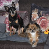 Samen warm in huis.
