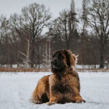 Foto van Britt, Maui & Fanu ~
