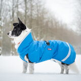 Foto van Bush dog