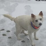 Jack -16 jaar- in de sneeuw