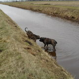 Even lekker het water in , nu kan het weer alle ijs gelukkig weg…