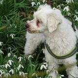 Lente kriebels 23.02.21