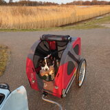 Foto van Bush dog