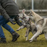 Foto van laura   Diva&Nova