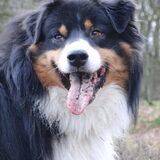 1-3-2010, mooie man ben ik he :)
